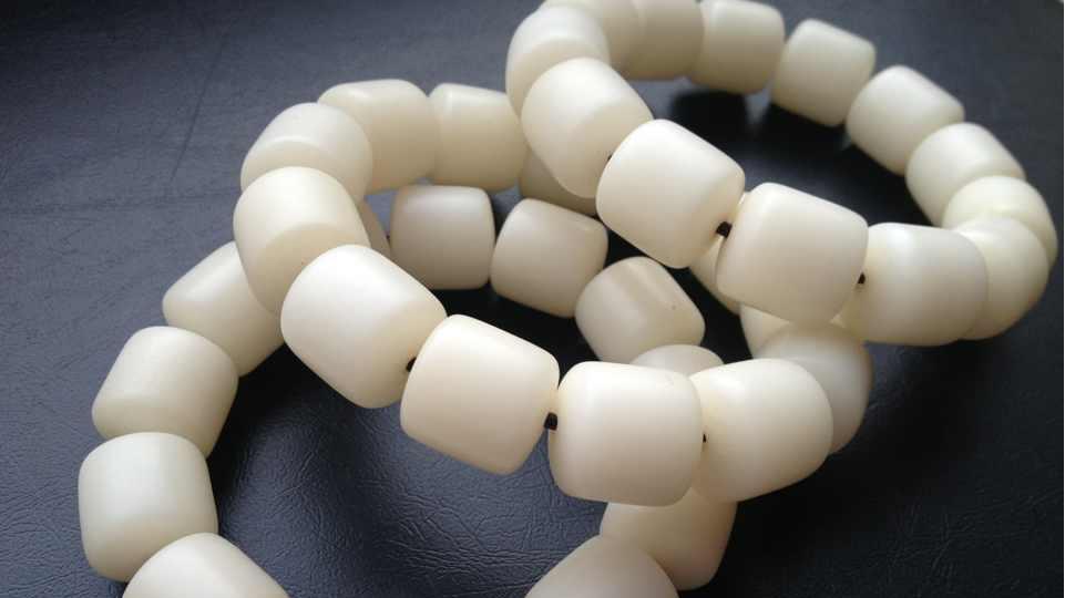 菩提根|关于菩提根和白玉菩提的叫法，到底是不是一回事？