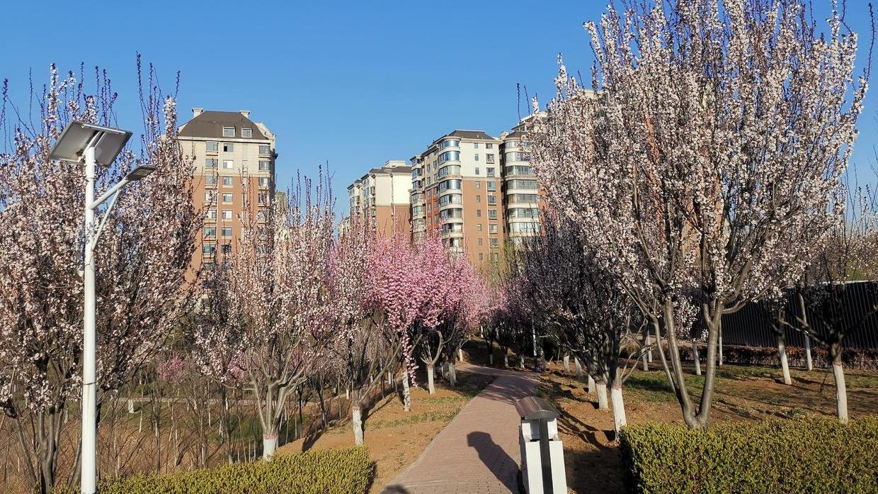 |提高职场写作能力，为自己创造无限的可能