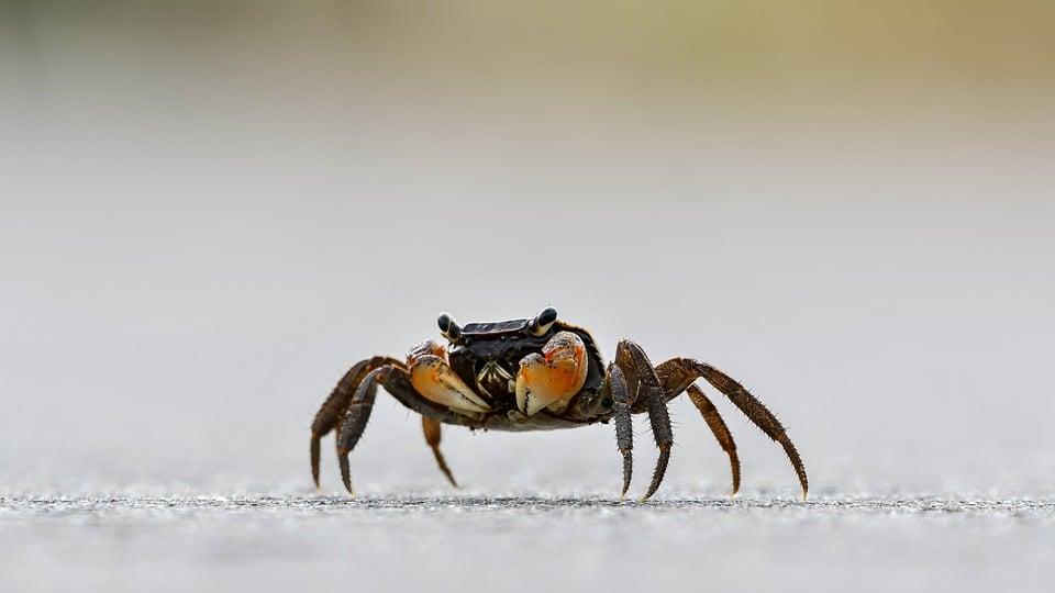 jsp|后端程序员做答题小程序的痛楚