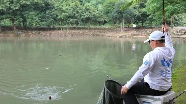 饵料|新手钓鱼，多看看这“5点”基本要领！简单好学入门快