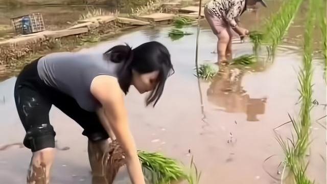女子心事重重在田间插秧，一旁的母亲担心她，网友：女孩受了情伤