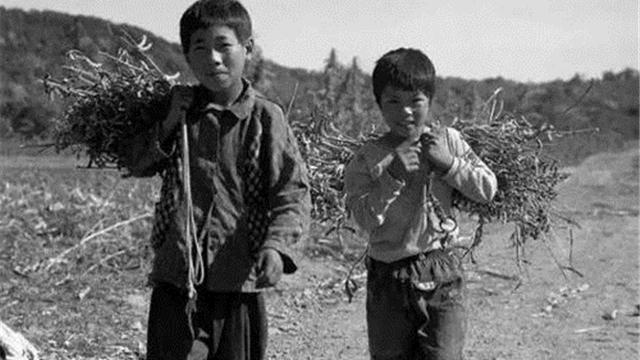|中国穷人的孩子，大部份正在被手机废掉
