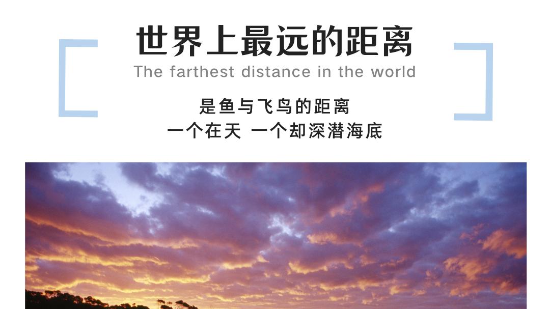 涨停|应届生求职，应该注意哪些？建议收藏避坑