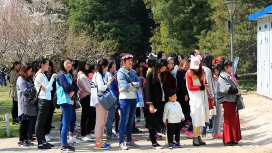 国外马桶圈留个缺口，这样的设计，是别出心裁还是画蛇添足