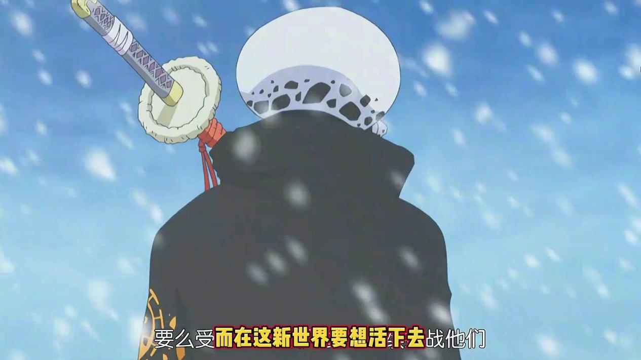 |路飞同意罗的求婚，罗把详细作战计划告诉草帽团