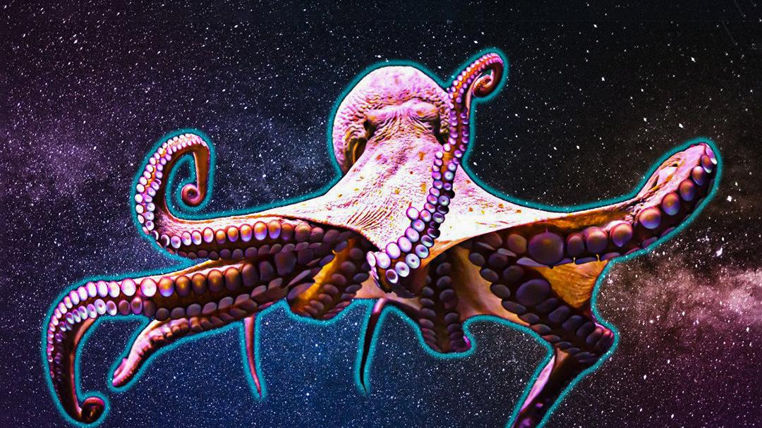 章鱼不是来自地球？多个证据表明，科学家的怀疑可能是对的