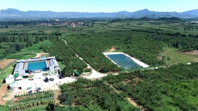 延庆|北京延庆红杏山庄民宿，草坪养殖场，越野摩托，垂钓儿童乐园俱全