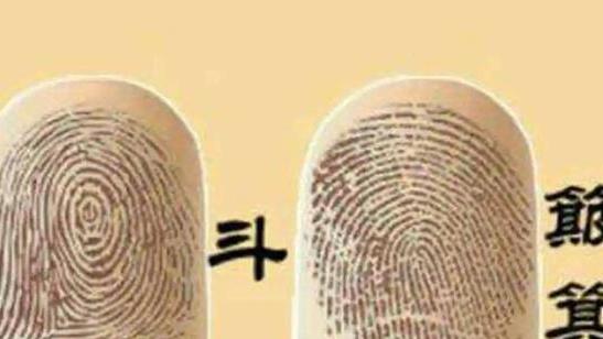 一斗穷，二斗富是真的吗？中科院揭示“斗”和“簸箕”的基因奥秘