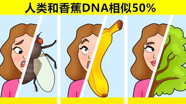 人类和香蕉DNA相似50%？关于人体的9个你或许从不知晓的冷知识