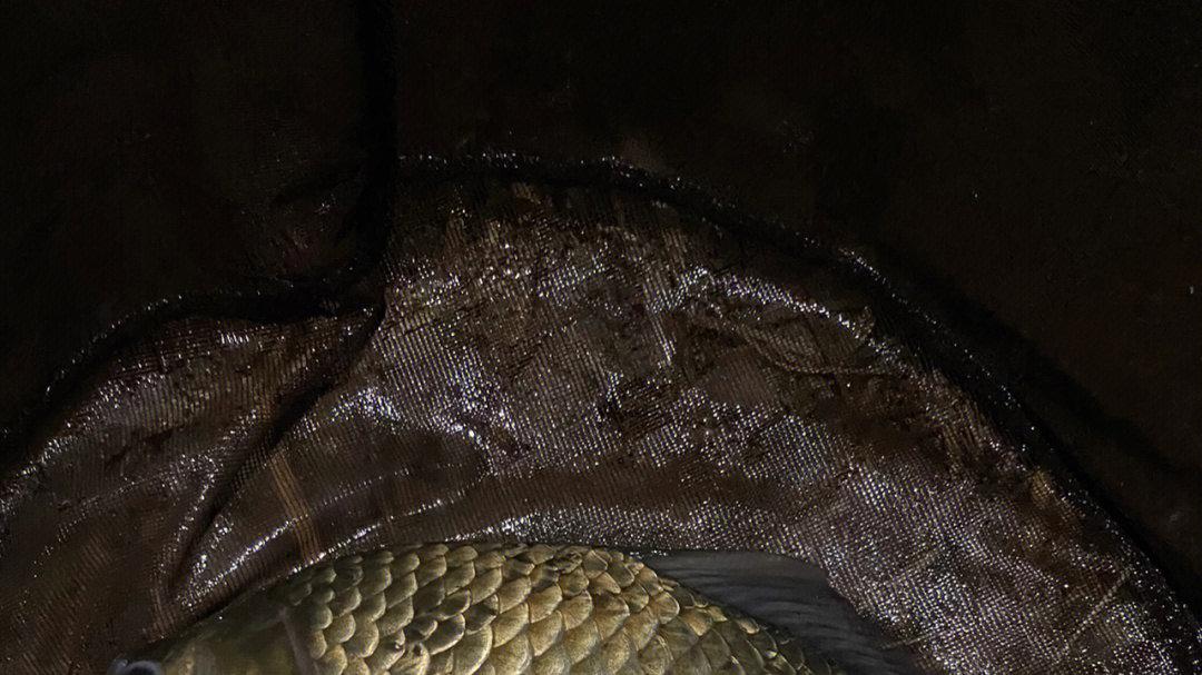 |破解野钓10大难题，钓鱼新手必修课