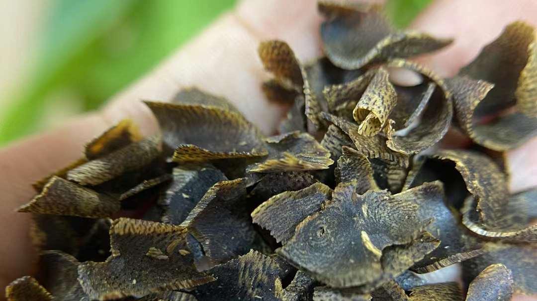 沉香|沉香地位如此之高绝非浪得虚名！