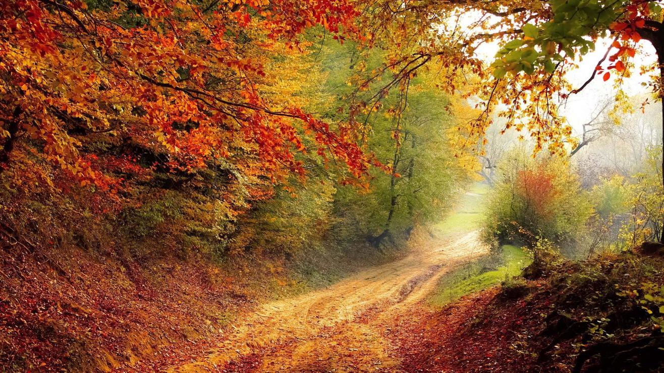 |职场同事请吃饭怎么拒绝？