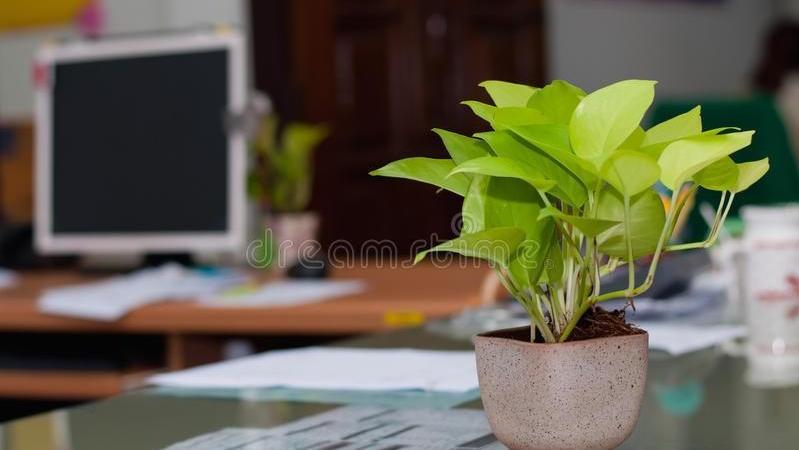 爱上一张床，恋上整个家，因妻子送给我一张趣睡科技的床垫