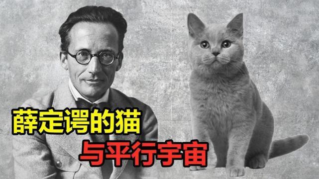 量子世界有无限多可能，那么你为何成为了“如今的你”？