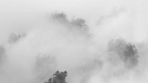 山林子自然社会人生随笔（69-70）谈关心人类命运 谈人类自由