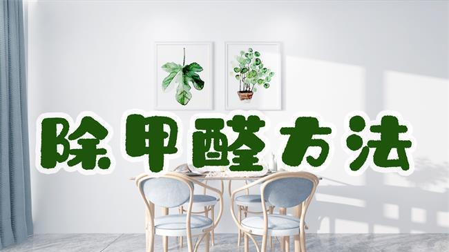 两周除甲醛，全靠这几招！