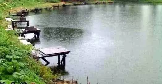 毛不易|知道这7钓8不钓，面对肥水池塘，你就是令人羡慕的垂钓高手