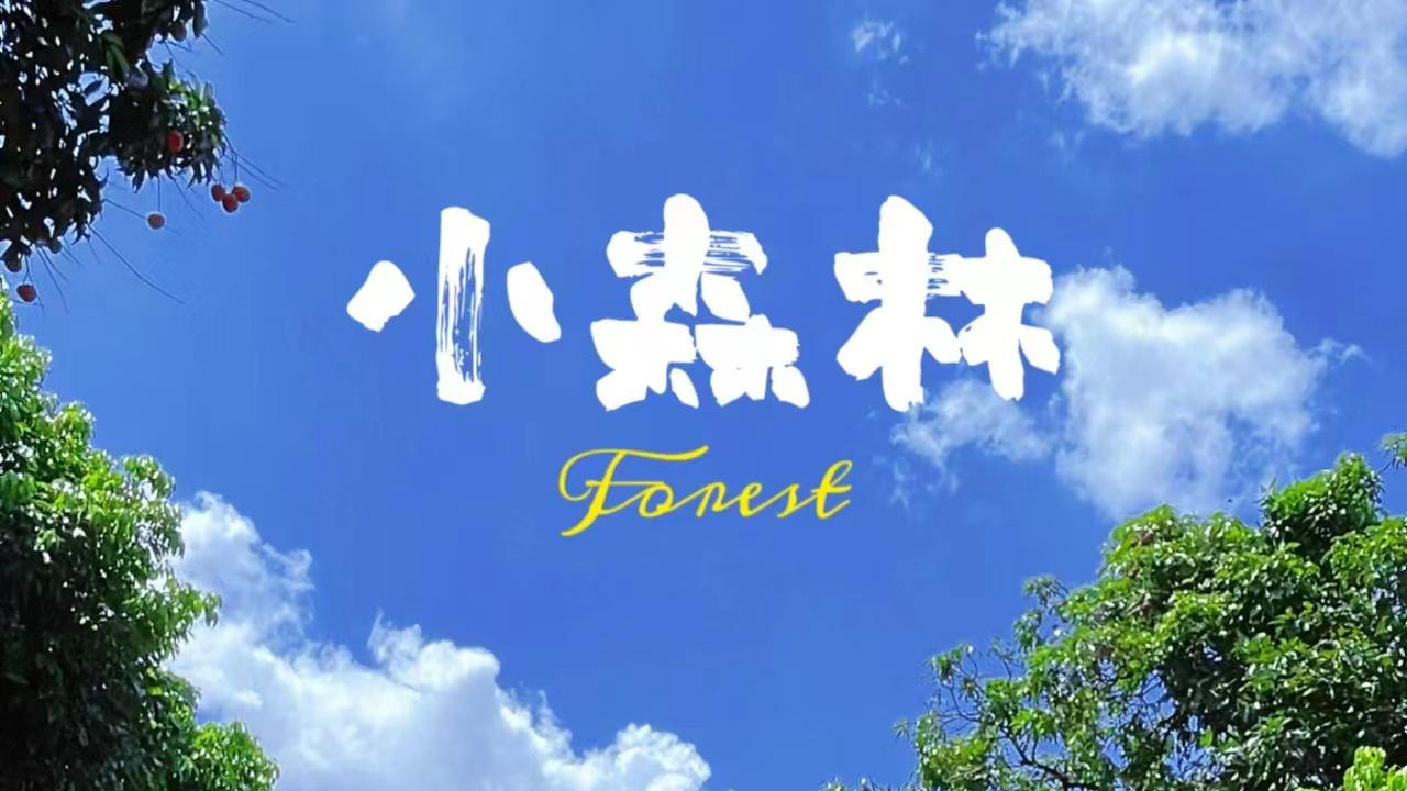 东莞|东莞团建新玩法 吸氧赏景团建休闲一日走起