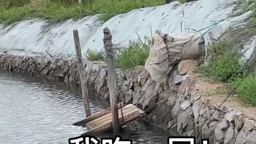 辽宁一南方女子去北方男友家，东北新体验逗笑网友：离痛风不远了