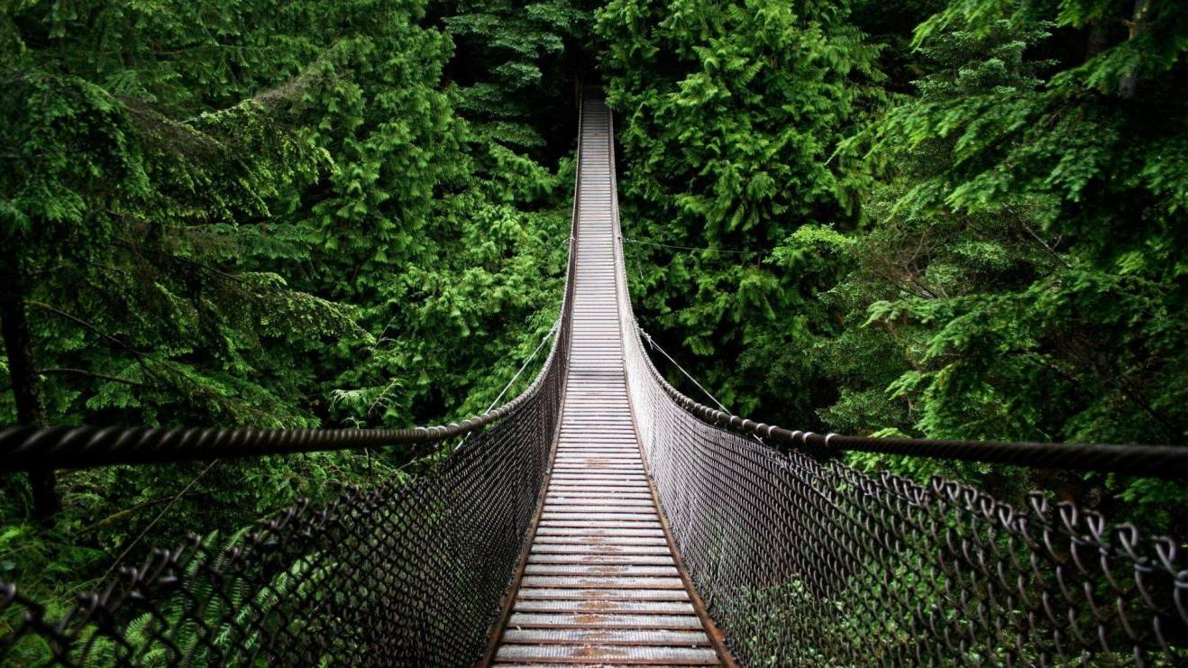 |职场上与领导或同事之间的相处，需要技巧，也需要沟通