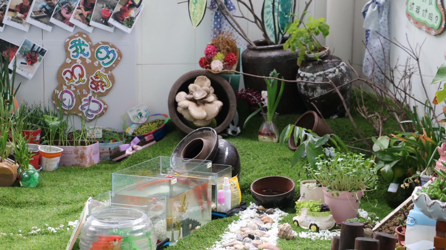 植物是否可能是有意识的生物？