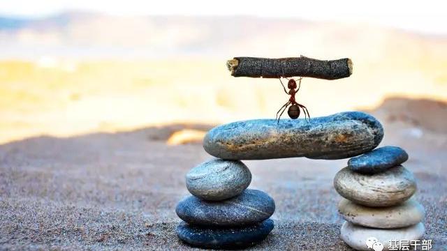 |有本事的领导和没本事的领导，总结得真好！