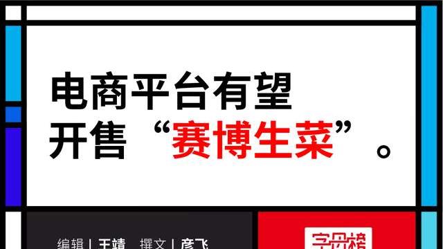 伊隆·马斯克|马斯克兄弟看中的集装箱种菜，突然火了