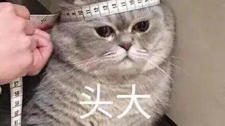 注册会计师|会计应该更注重学历还是证书？