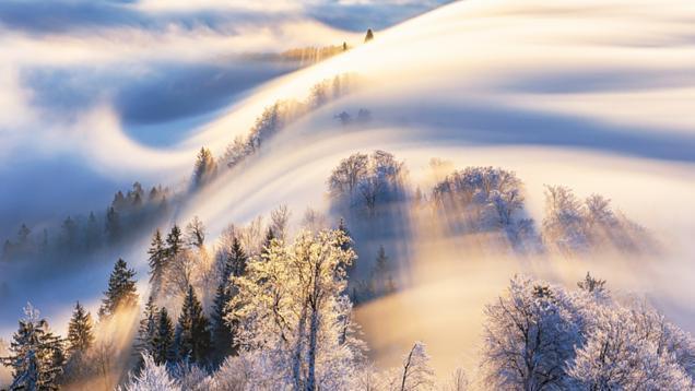 三亚|“傻人有傻福”的星座，纯洁善良没心机