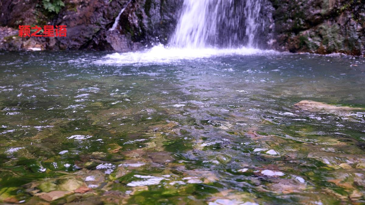 漂流|宁波玩水胜地中坡山森林公园，老龙潭见底，垃圾堆积成山