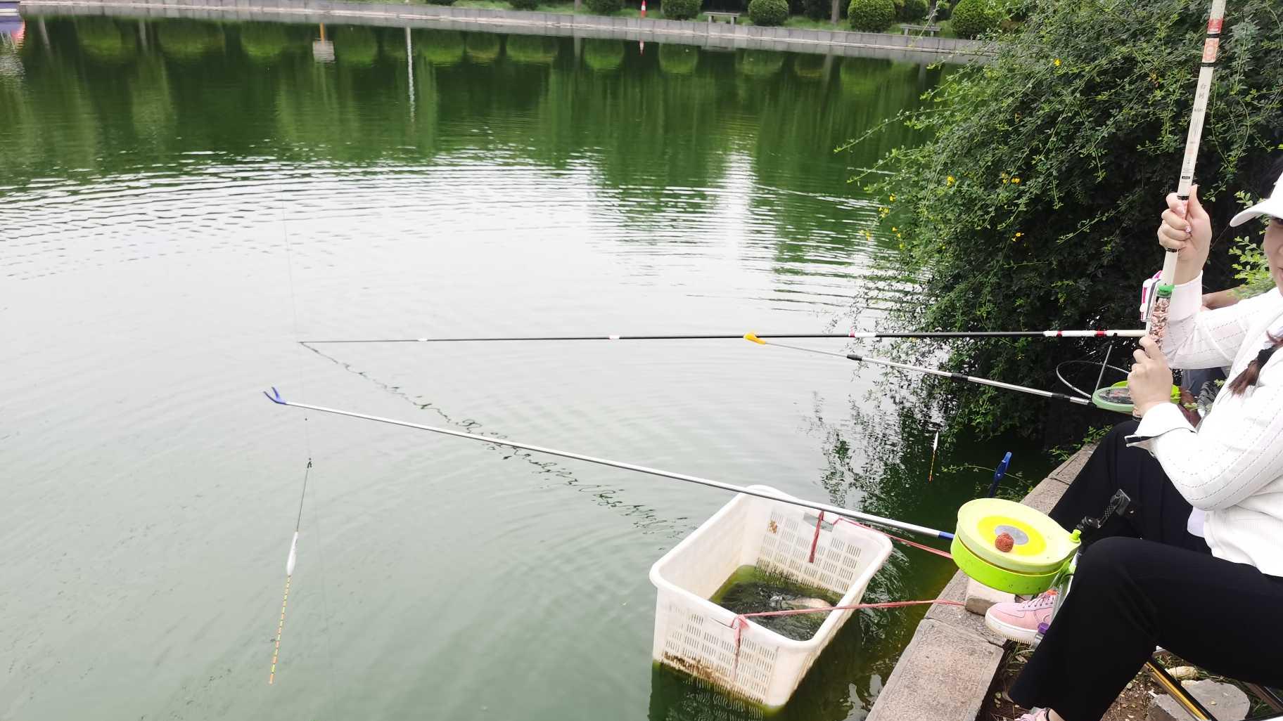 |很久没出去钓鱼，赶上一个好天气直接出发钓鱼