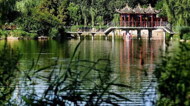 临沂|石家庄周边自驾游免费景点有哪些？可去的地方真不少，一起来看看