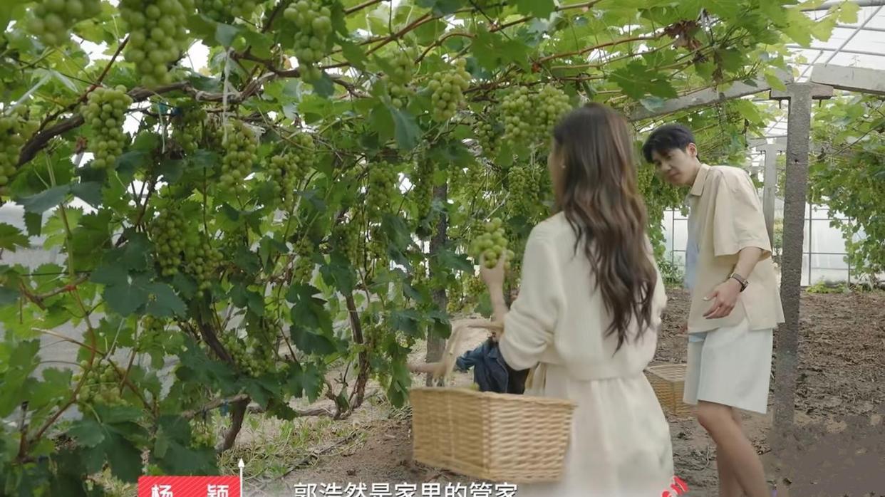 心动的信号|心动的信号：同样是三人行，喆阳李聂相处自然，浩然眼神紧盯佳悦