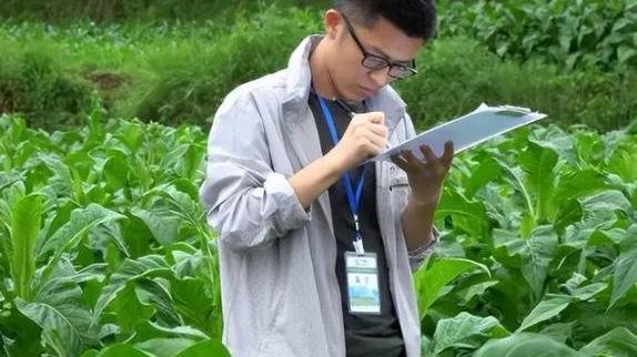 大学生|中国烟草待遇曝光，为何多数毕业生没有机会？