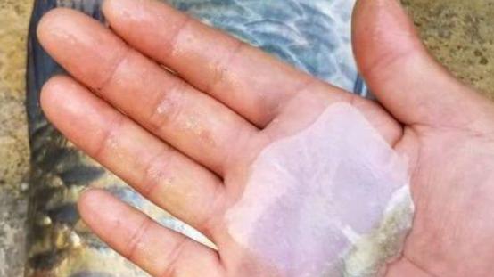 钱塘江|钱塘江鱼鳞潮有多漂亮，哪个钓鱼人不想去观潮？为啥潮水呈鱼鳞状