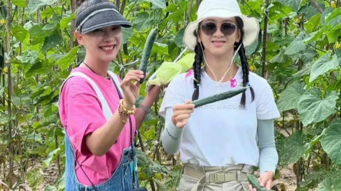 王诗龄|13岁的王诗龄和14岁的森碟，分别于9月6日和7日登上热搜