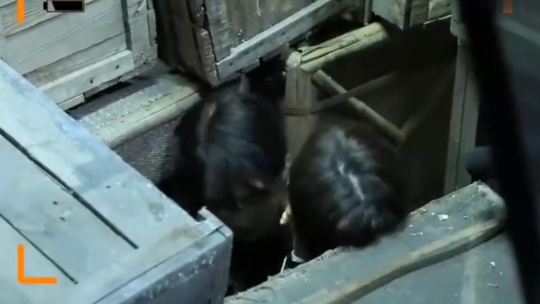 金晨|金晨曾经说再也不想继续和峰哥搭档拍戏了，很多人都猜测原因