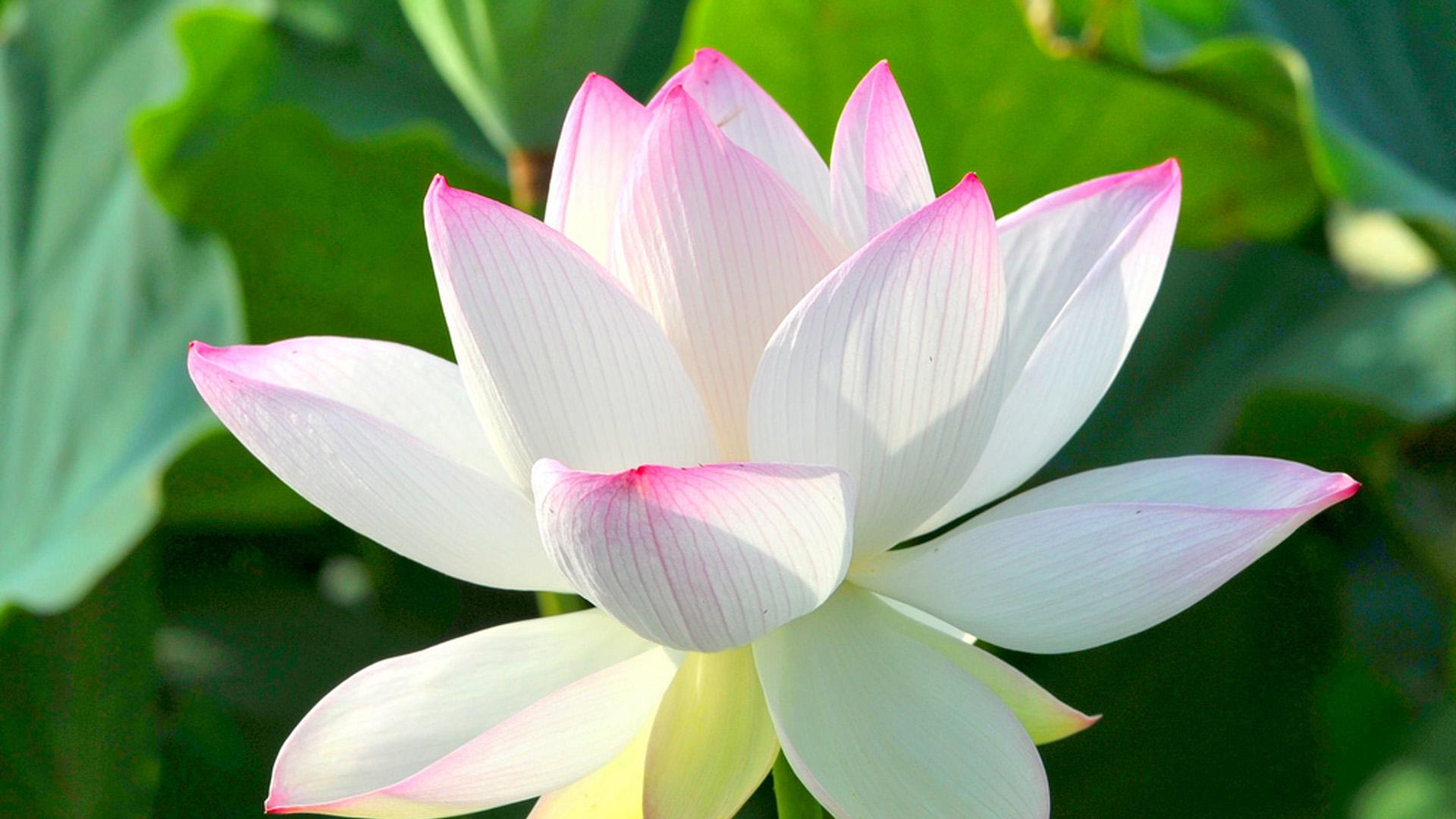 摆脱他人的期待