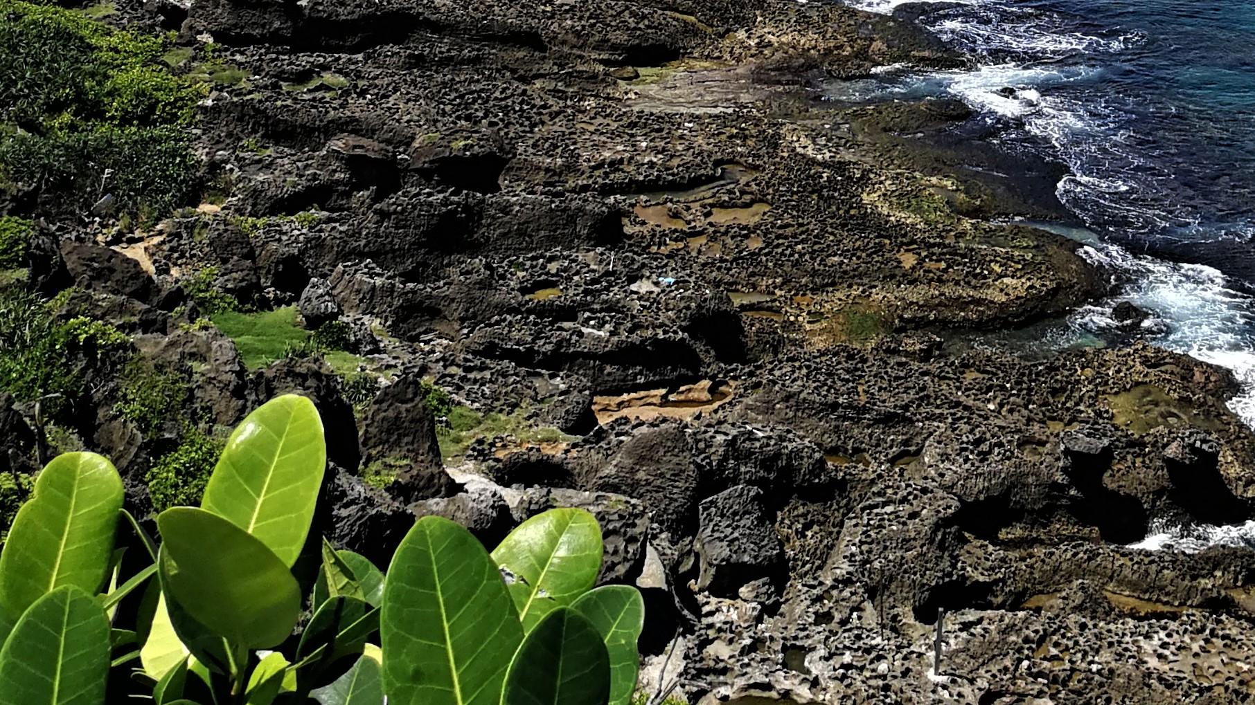 聚会|职场约不约？自己说了算