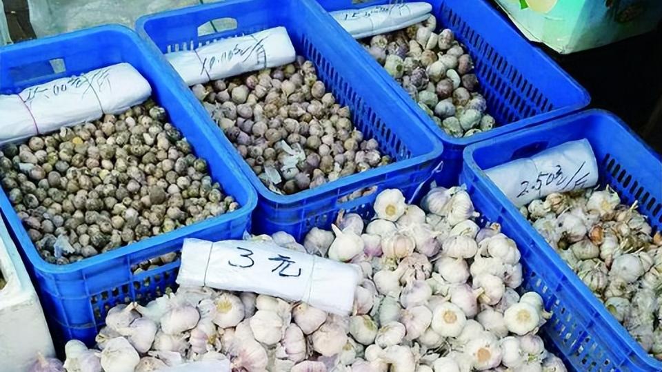 买大蒜，这5种白送都不要，菜贩自己从不吃，看完告诉家里人