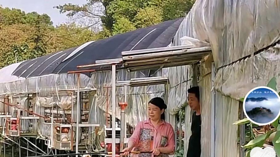 |姚师兵教许妈钓鱼，网友：他们的爱情，让人羡慕不已