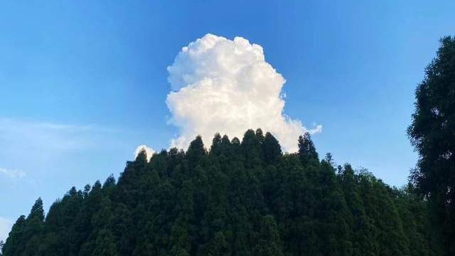 沦落人|同是他乡沦落人，相逢何必曾相识