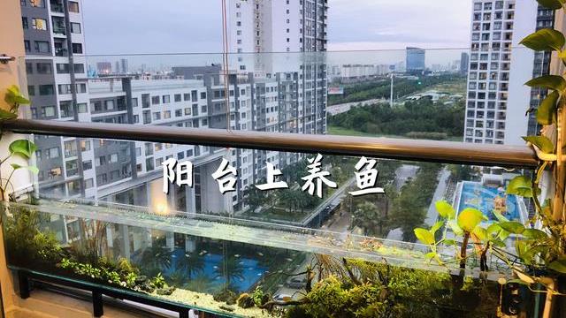 阳台不晒衣服、不种花，打算用来养鱼？这4点不注意，你还是外行