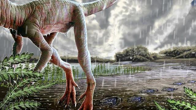 2.33亿年前，地球曾经下了一场持续100万年的大雨，这是真的吗？