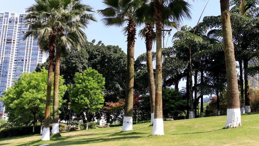 |公交直达，湿地、草坪、运动场！这个宝藏公园怎么还不出圈？