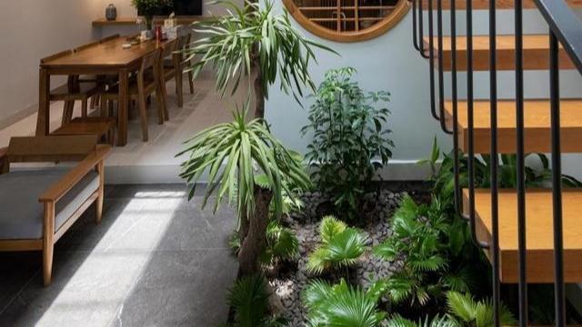 越南3层别墅，屋里屋外到处都种树，装修简单，但起码赏心悦目！