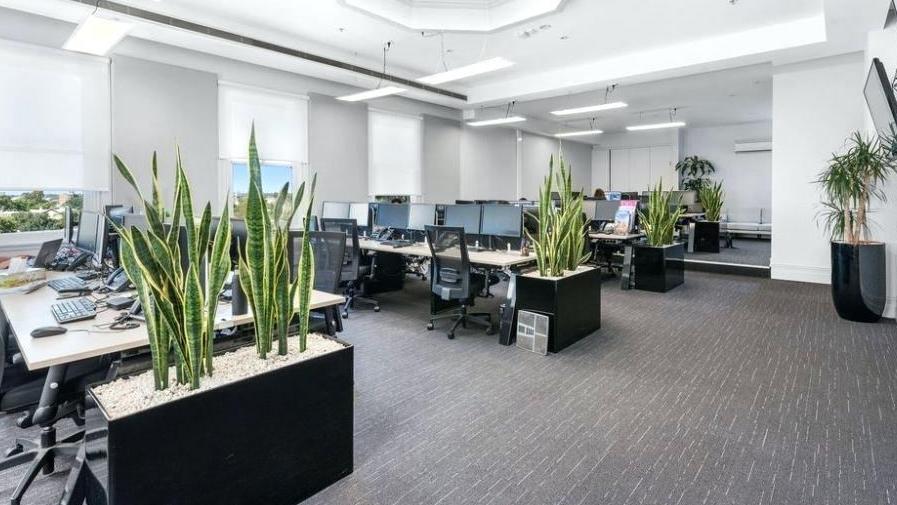 甲醛|新型办公防护及甲醛去除