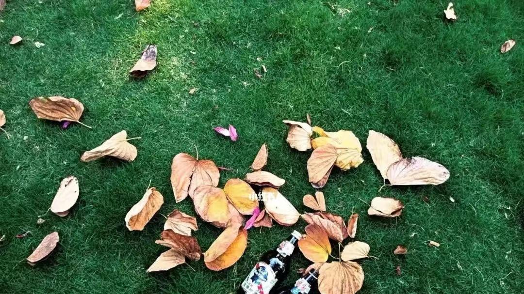 |合群与前途哪个更重要？与其迎合他人，还不如做好本职工作