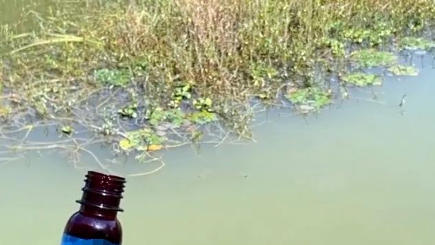 |钓鱼必须要懂的细节盘点，若是不注意，下个空军的人肯定是你