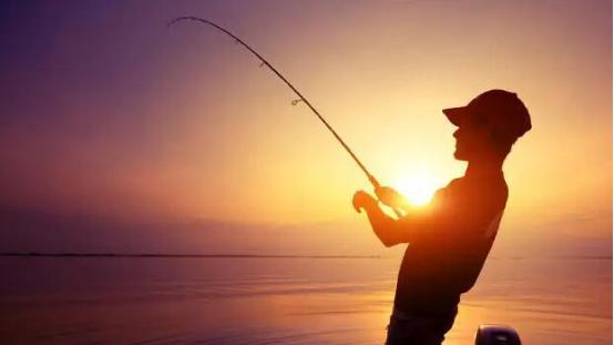 饵料|春天“乱钓鱼”，用什么饵料效果最好？